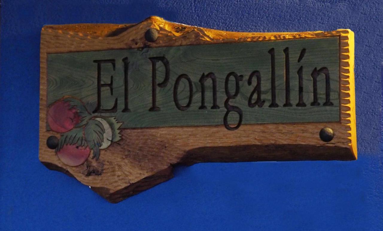 El Pongallin Ideal Para Familias V Vacacional 268 Sevares Buitenkant foto